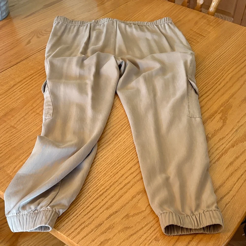 Banana Republic Beige Cargo Jogger Pants - Picture 7 of 11